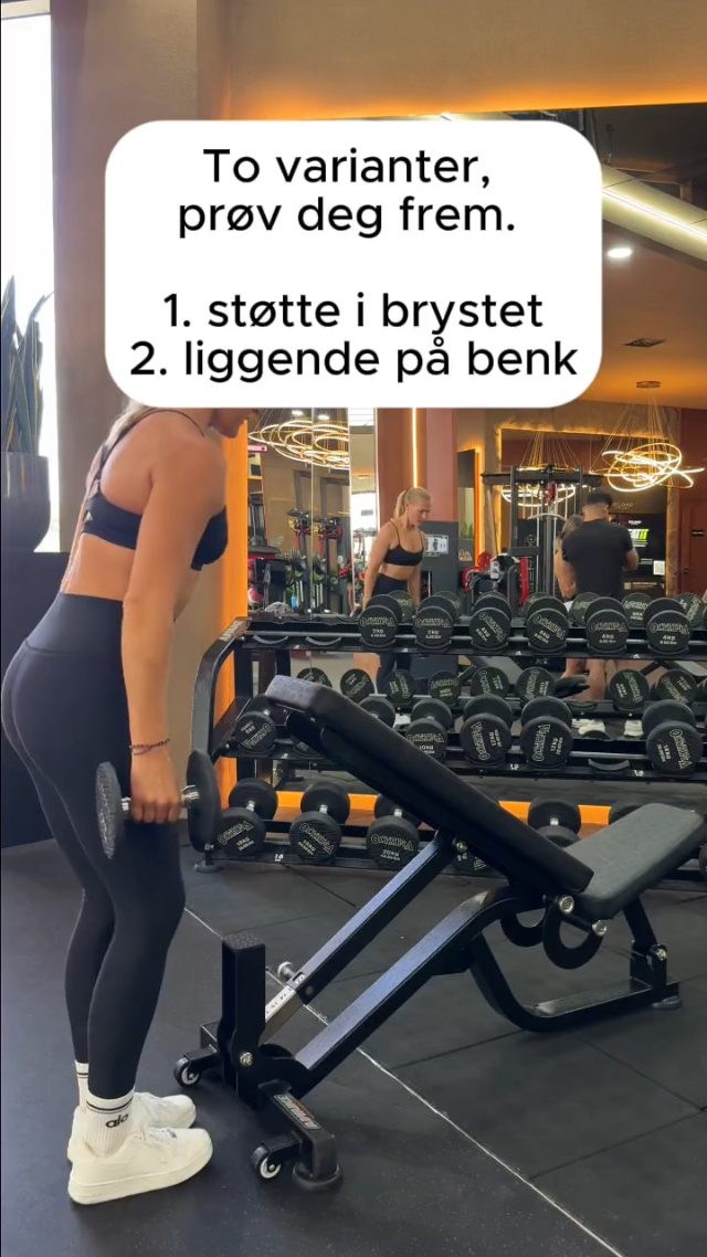 Rear Delt Flyes