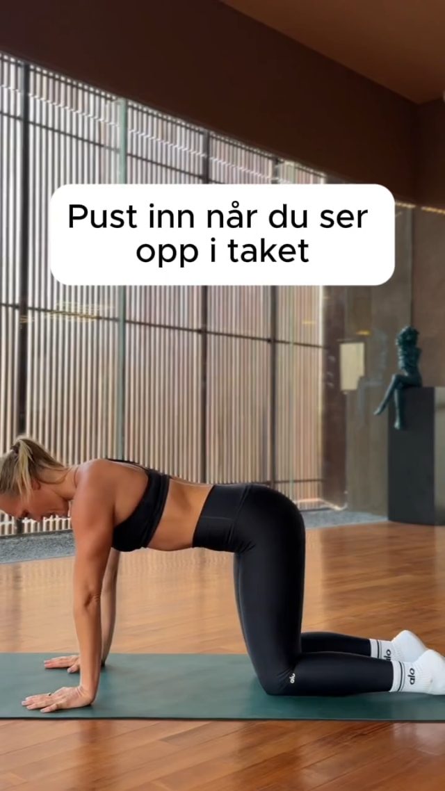 Katt-ku